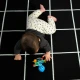 Hryzačka/hrkálka Opus’s Shake & Soothe™ 0m+ Baby Einstein 13157-6