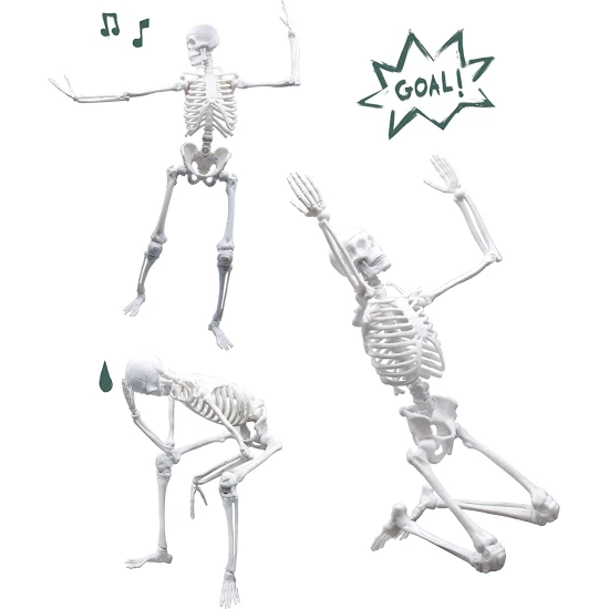 Zostavte obrovskú ľudskú kostru s realistickou štruktúrou.