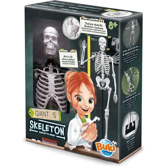 Zostavte obrovskú ľudskú kostru s realistickou štruktúrou.