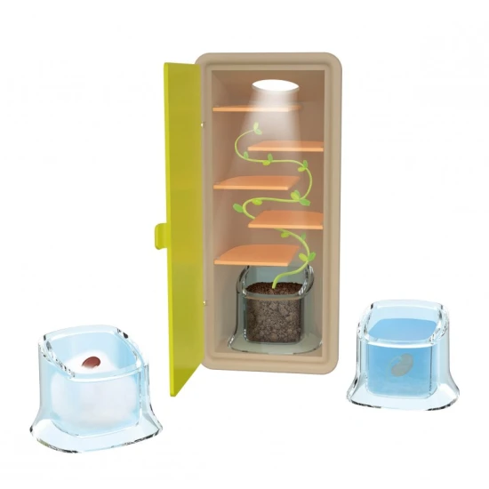 Spoznajte život semienka krok za krokom ako pri hľadaní pokladu!