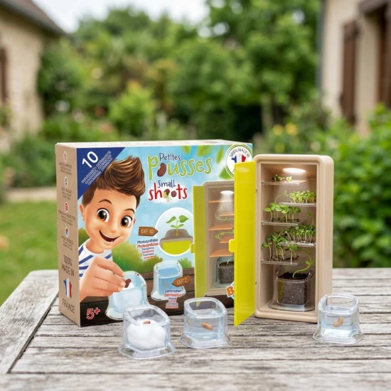 Spoznajte život semienka krok za krokom ako pri hľadaní pokladu!