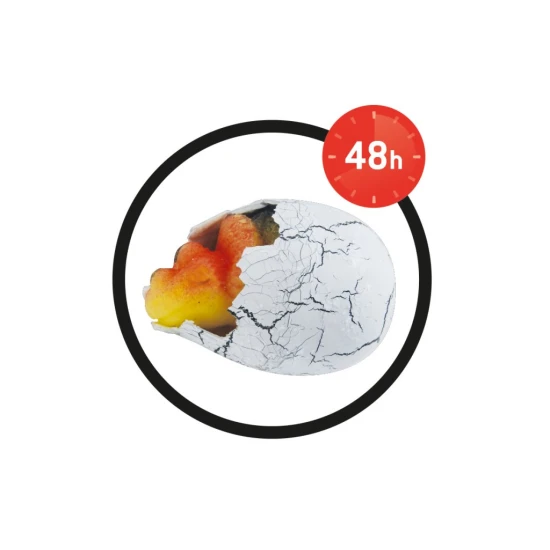 Sleduj ako sa liahne dinosaurus! Vzrušujúca hračka pre milovníkov dinosaurov.