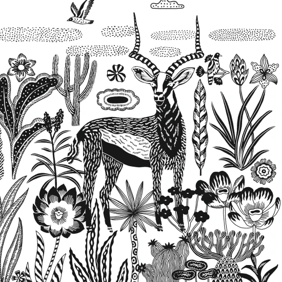 Kyanotypová (fotocitlivá) sada Noc na savane