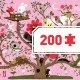 Puzzle Galéria Abrakadabra 200 ks