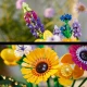 LEGO Botanicals 10313 Kytica z poľných kvetín