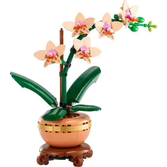 LEGO Botanicals Miniatúrna orchidea v kvetináči so zlatými detailmi
