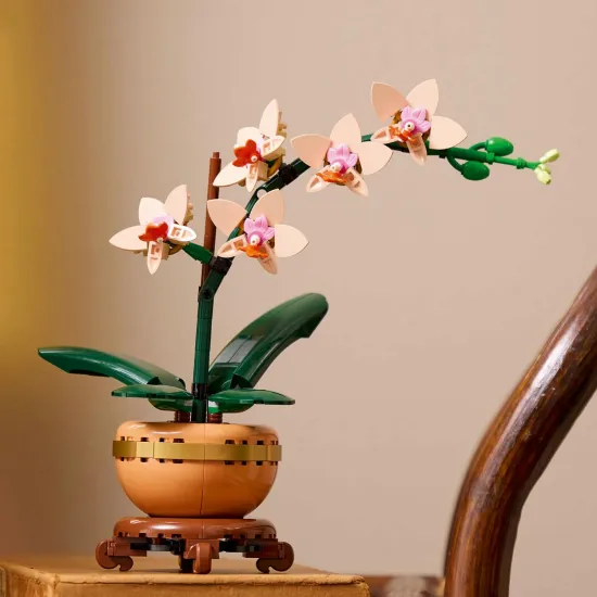 LEGO Botanicals Miniatúrna orchidea v kvetináči so zlatými detailmi