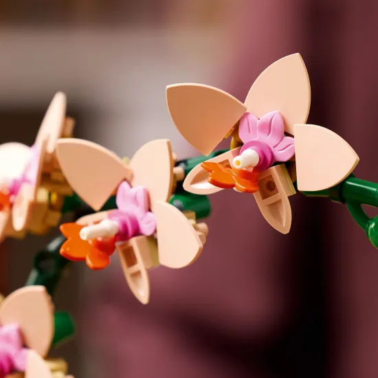 LEGO Botanicals Miniatúrna orchidea v kvetináči so zlatými detailmi