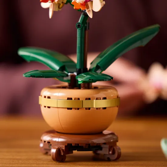 LEGO Botanicals Miniatúrna orchidea v kvetináči so zlatými detailmi