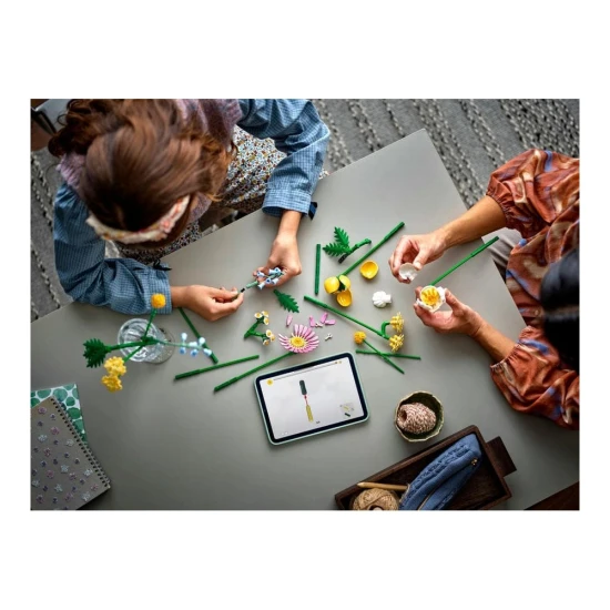 LEGO Botanicals 10347 Malá slnečná kytica