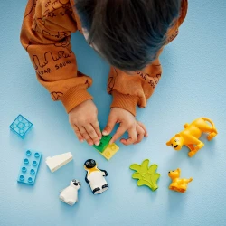 LEGO DUPLO 10442 Rodinky divokých zvierat: Tučniaky a levy