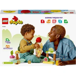LEGO DUPLO 10983 Bio farmársky trh