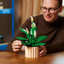 LEGO Botanicals 11504 Lopatkovec