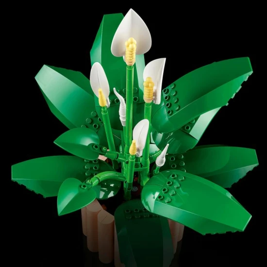 LEGO Botanicals 11504 Lopatkovec