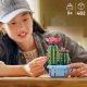 LEGO Botanicals 11509 Kvitnúci kaktus