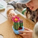 LEGO Botanicals 11509 Kvitnúci kaktus