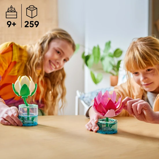 LEGO Creator 11511 Lekná LEGO Creator 11511 Lekná