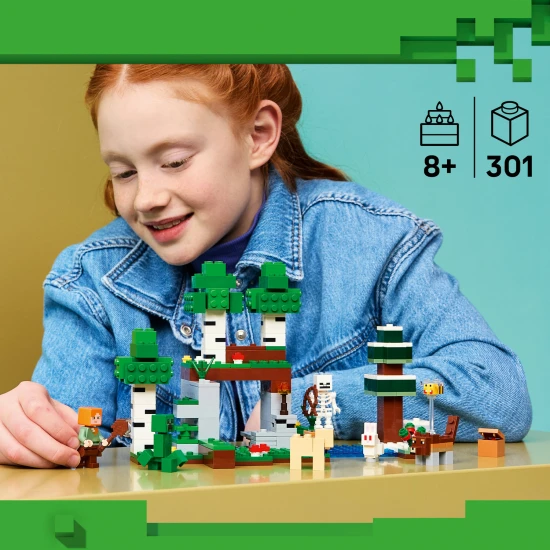 LEGO Minecraft 21593 Prvé nočné dobrodružstvo