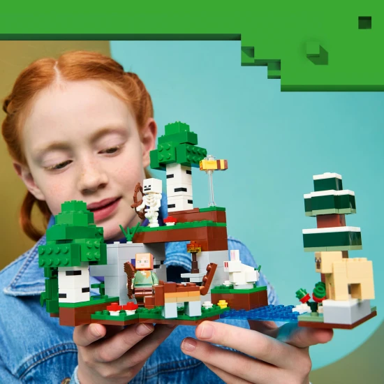 LEGO Minecraft 21593 Prvé nočné dobrodružstvo
