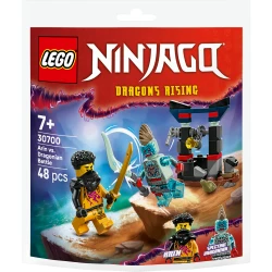 LEGO 30700 Súboj: Arin vs. Dračie stvorenie