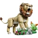 LEGO Creator 31386 Divoké zvieratá: Majestátny lev