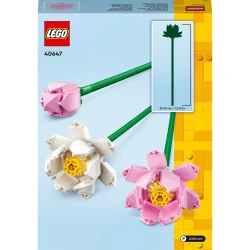 LEGO Botanicals 40647 Lotosové kvety