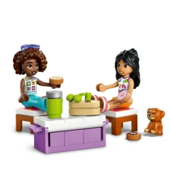 LEGO Friends 42659 Výlet v aute s kamarátmi