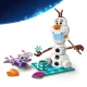 LEGO Disney 43287 Olaf a Bruni na zábavnom pikniku