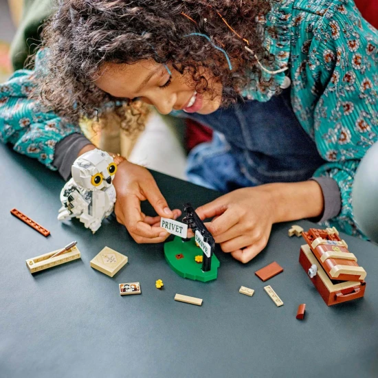 LEGO Harry Potter: Hedviga na Privátnej ceste 4