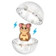 Magnetická stavebnica MAGNA-TILES Hamster Ball – 13 dielov vrátane loptičky a figúrky škrečka