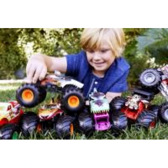 Mattel Hot Wheels Monster Trucks veľké auto 25FYJ83