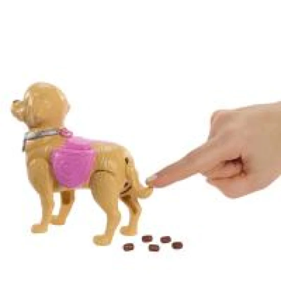 Barbie bábika so psíkom na prechádzke Mattel Barbie bábika so psíkom na prechádzke 25JJB46
