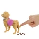 Barbie bábika so psíkom na prechádzke Mattel Barbie bábika so psíkom na prechádzke 25JJB46