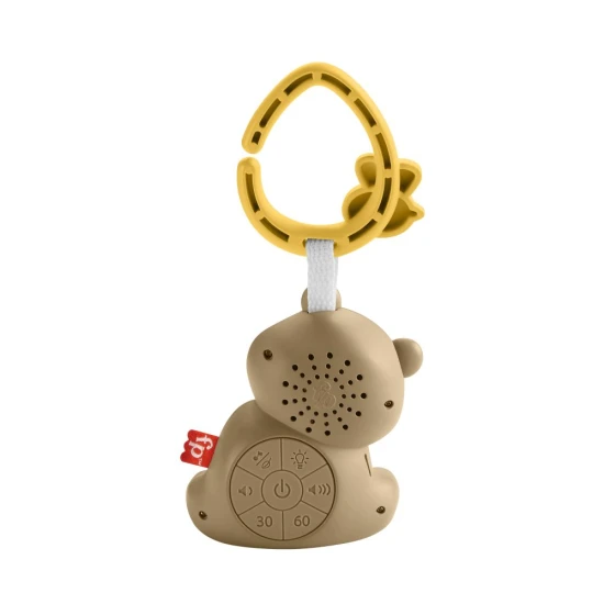 Upokojujúci hrajúci medvedík Fisher-Price® s nočným svetlom a možnosťou pripevnenia na kočík pre novorodencov