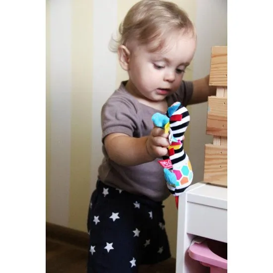 Zmyslová hračka, ktorá sa stará o správny vývoj dieťaťa už od narodenia.