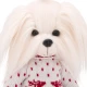 Lucky Doggy Plyšový psík Maltézska fenka - Mimi Scandinavian Motif