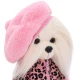 Lucky Doggy Set oblečenia pre psíka Mon Amour Orange Toys