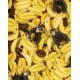 Zvuková fľaša Monkey