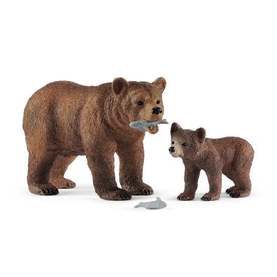 Matka medveďa grizzlyho so svojím mláďaťom v prírode.