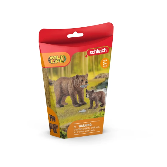 Matka medveďa grizzlyho so svojím mláďaťom v prírode.