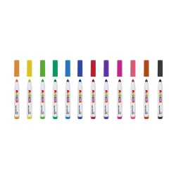 Fixky Umývateľné s univerzálnym hrotom 12 ks