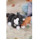 BABY born Mačka Cookie s prepravkou Zapf Creation 12837580