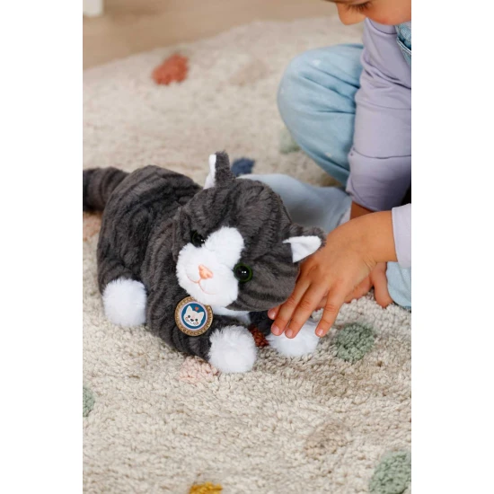 BABY born Mačka Cookie s prepravkou Zapf Creation 12837580