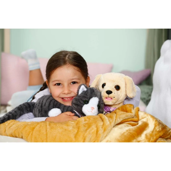 BABY born Mačka Cookie s prepravkou Zapf Creation 12837580