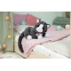 BABY born Mačka Cookie s prepravkou Zapf Creation 12837580