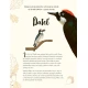 Zázraky prírody – kniha pre deti