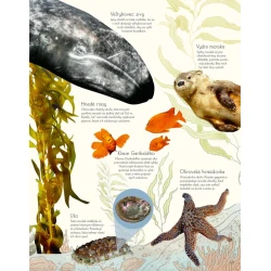 Svet vody a jeho zázraky