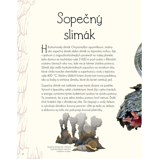 Svet vody a jeho zázraky – kniha o živote pod hladinou s fotografiami a ilustráciami