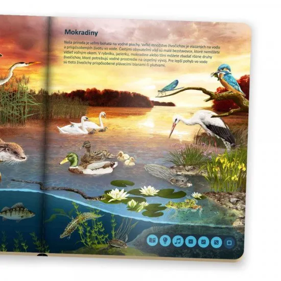 Svet zvierat Kúzelné čítanie