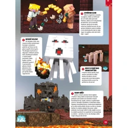 Minecraft - Knižka na celý rok